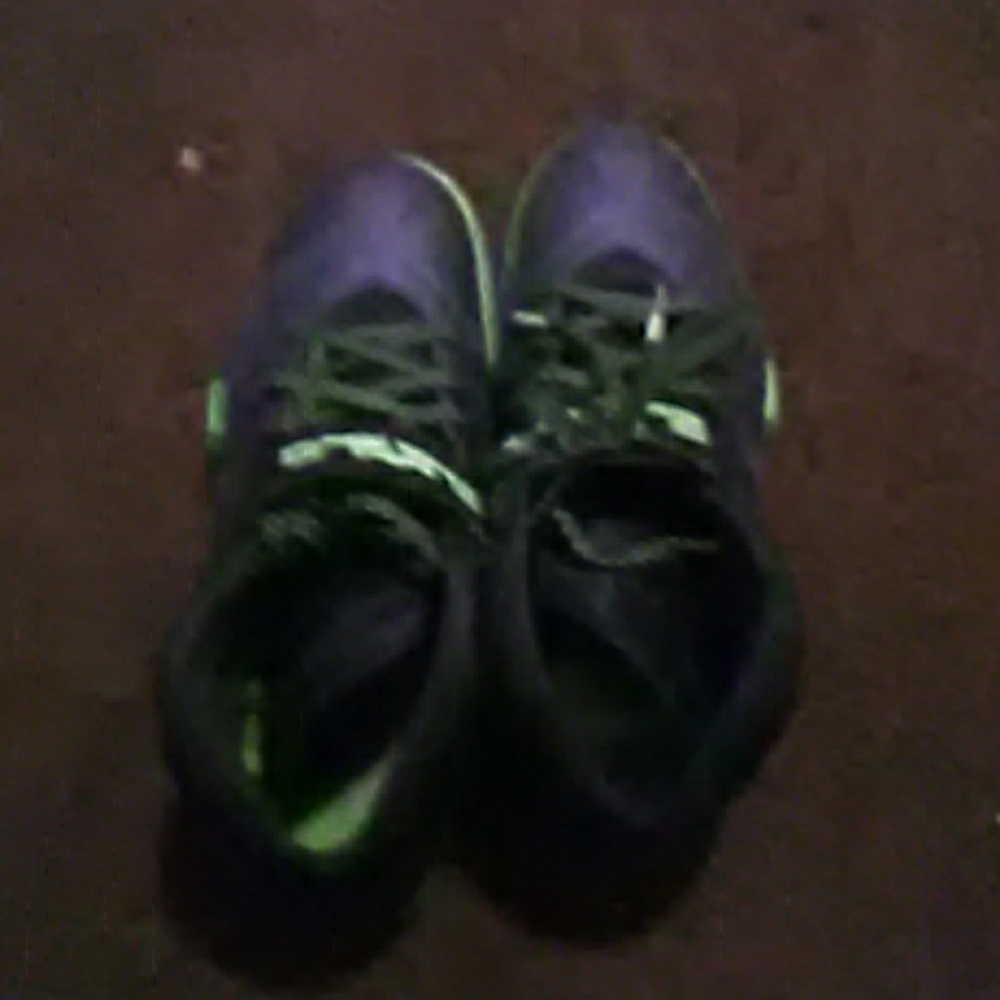 Nike zoom lebrons